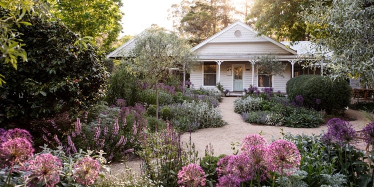 Backyard Bliss - Article 2